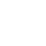 Zippel Group